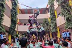 Dahi-Handi